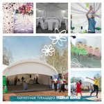 Агентство Vegas Studio