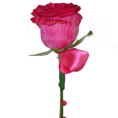 Бутоньерка Ц4111 - Салон цветов Цветочка.рф