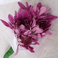 Бутоньерка Ц4113