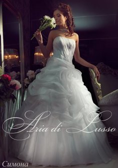 Арт. Симона-Б24132