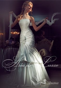 Арт. Диана-Б24359