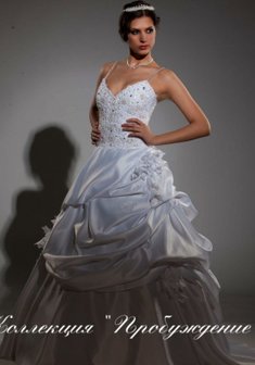 Арт. Лилия-С24707