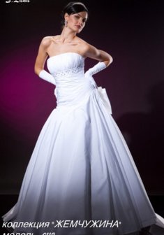 Арт. Фелиция-С24713