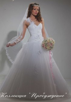 Арт. Астра-С24738