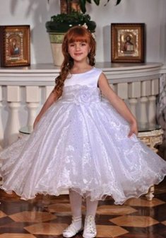 Арт. 10-0024-Б25757