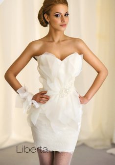 Арт. Liberta-М40481