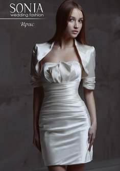 Арт. Ирис-М40684