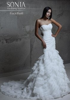 Арт. Бисквит-М40697