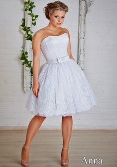 Арт. Anita-М40717