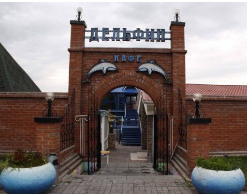 Кафе Дельфин